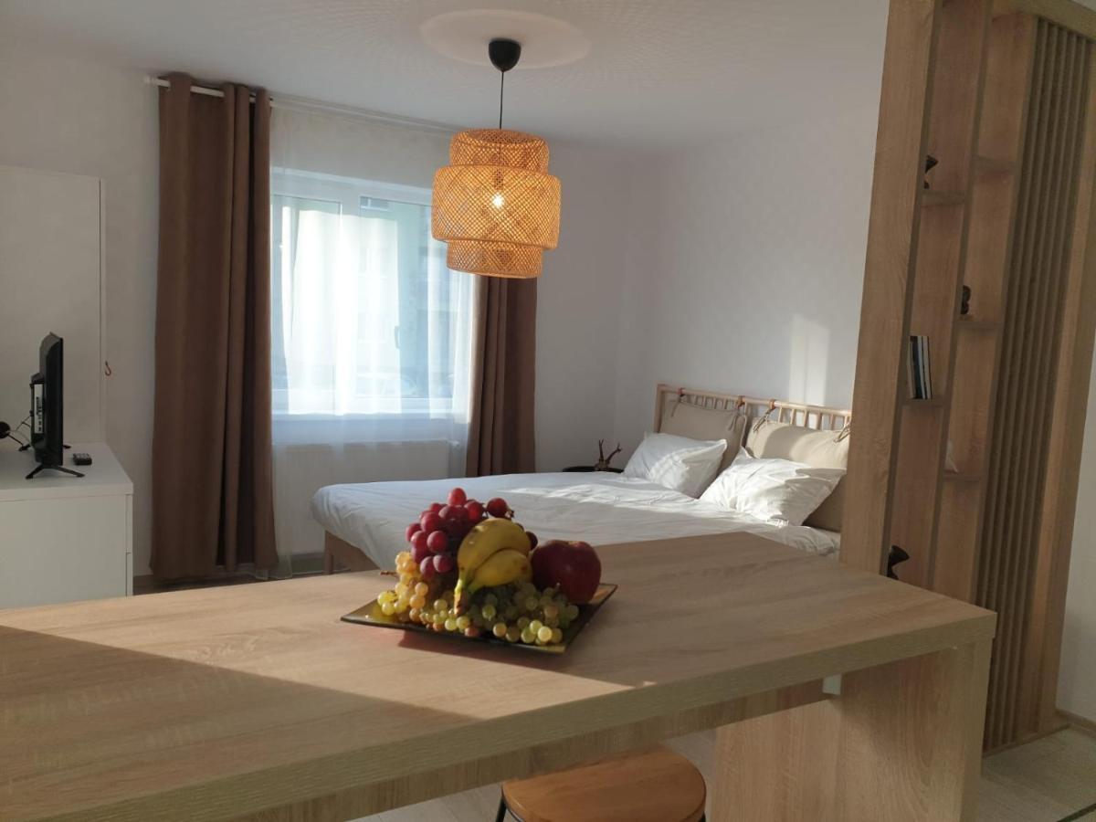 Suite Life Brasov Coresi Zewnętrze zdjęcie